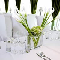 完美婚禮策劃全攻略 從愛(ài)情故事到浪漫蜜月